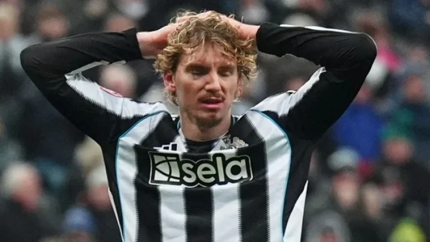 Nick Woltemade Struggles to Replace Alexander Isak at Newcastle