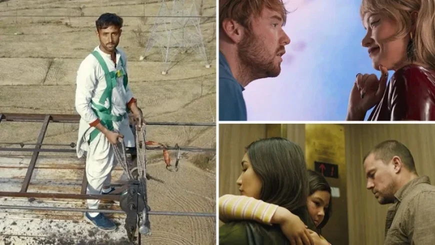 13 Films Poised to Ignite Fierce Bidding Wars