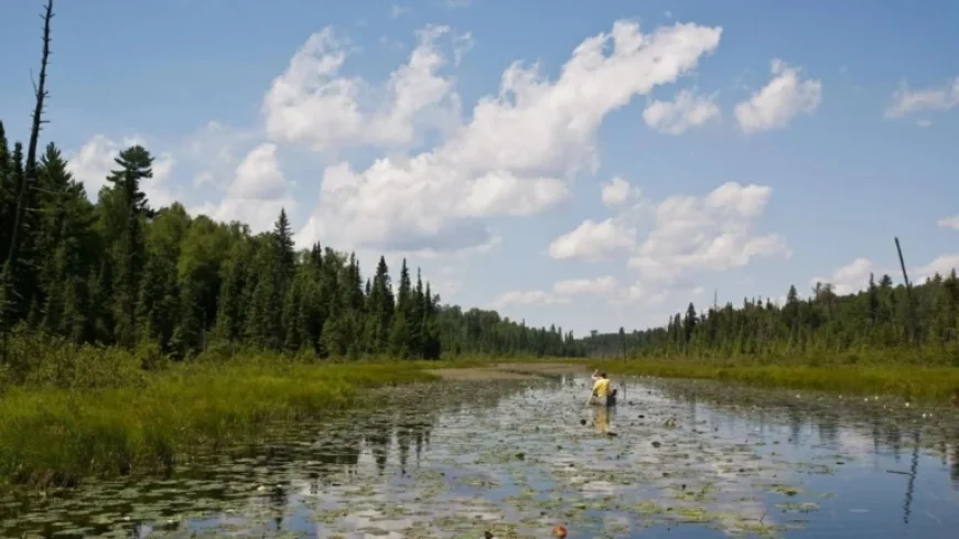 US House Approves Lifting Mining Ban near Boundary Waters Canoe Area