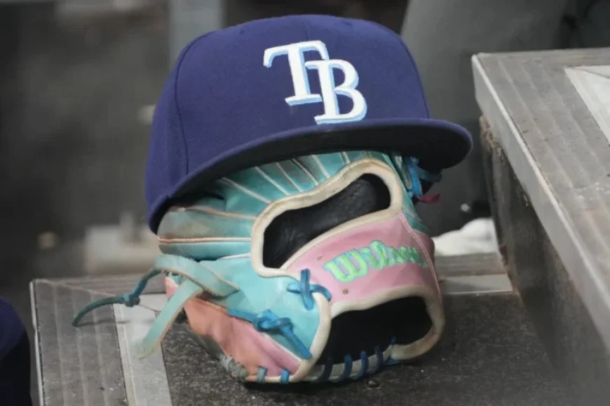 Update on Rays Stadium Development Plans