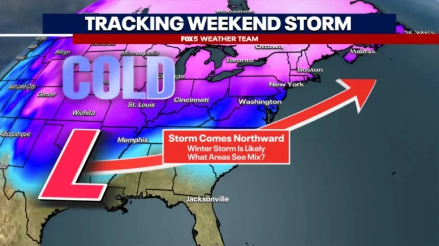 Winter Storm Targets DMV: Latest Snow Totals and Timing Updates