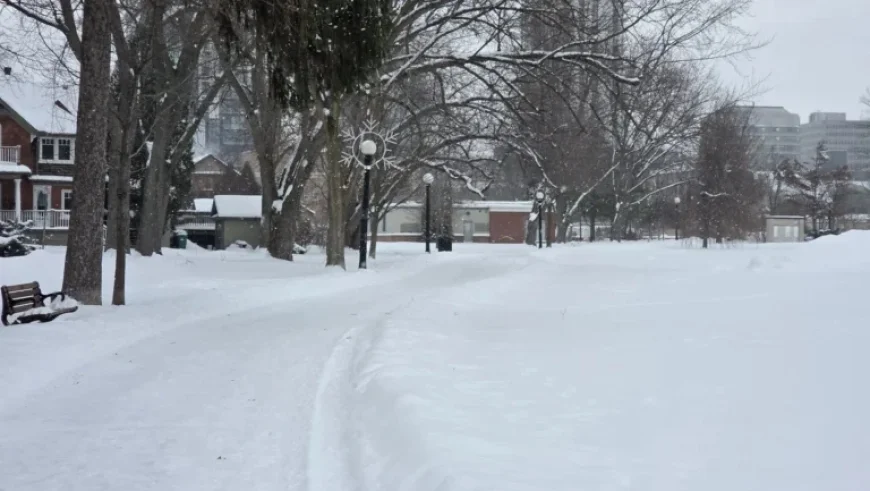 Snowfall Alert: Up to 20 cm Expected Wednesday