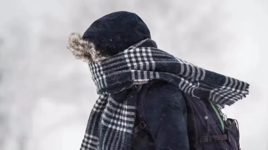 Extreme Cold Wave: Hydro-Québec Prepares to Meet Demand