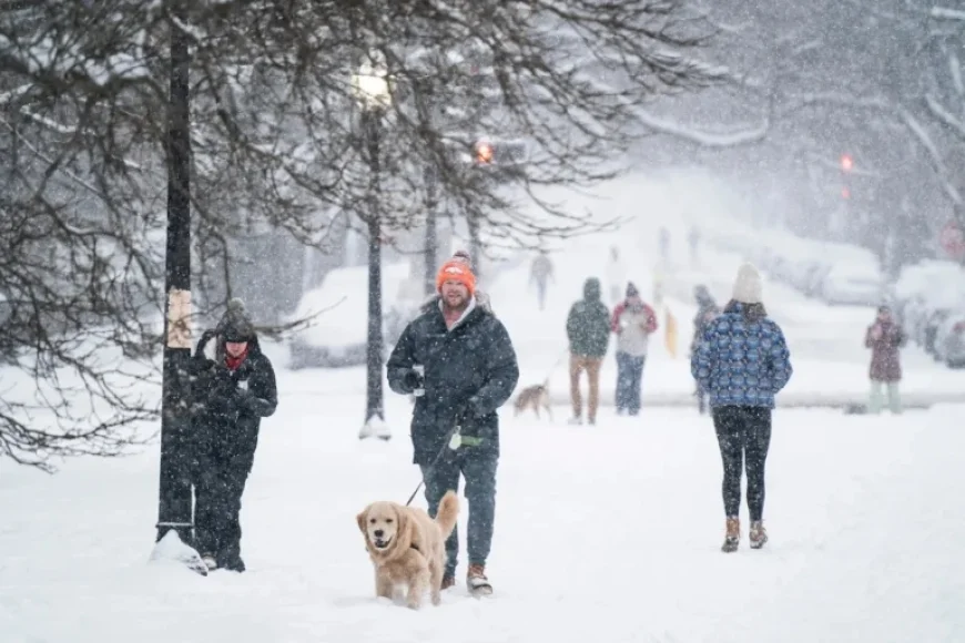 Severe Winter Storm to Hit D.C.: Essential Details to Know