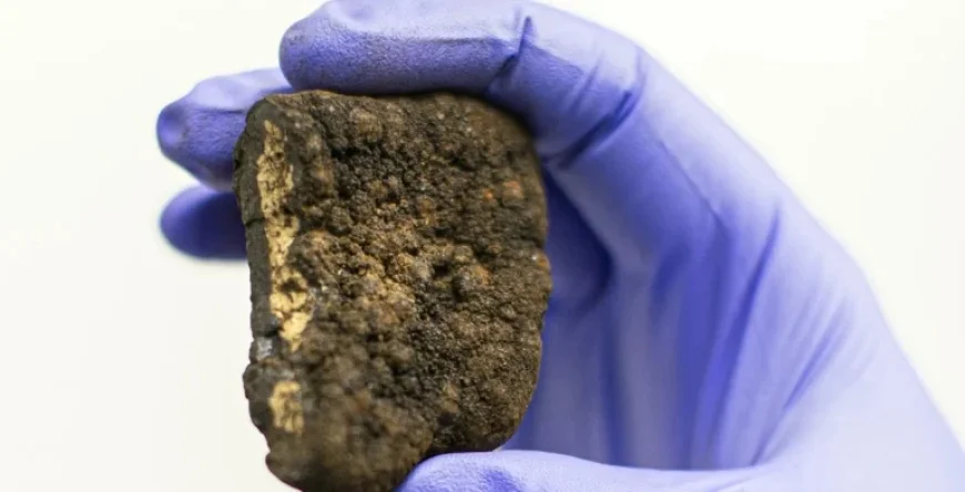 Trump Defies Global Pleas, Pushes Forward with Deep-Sea Mining