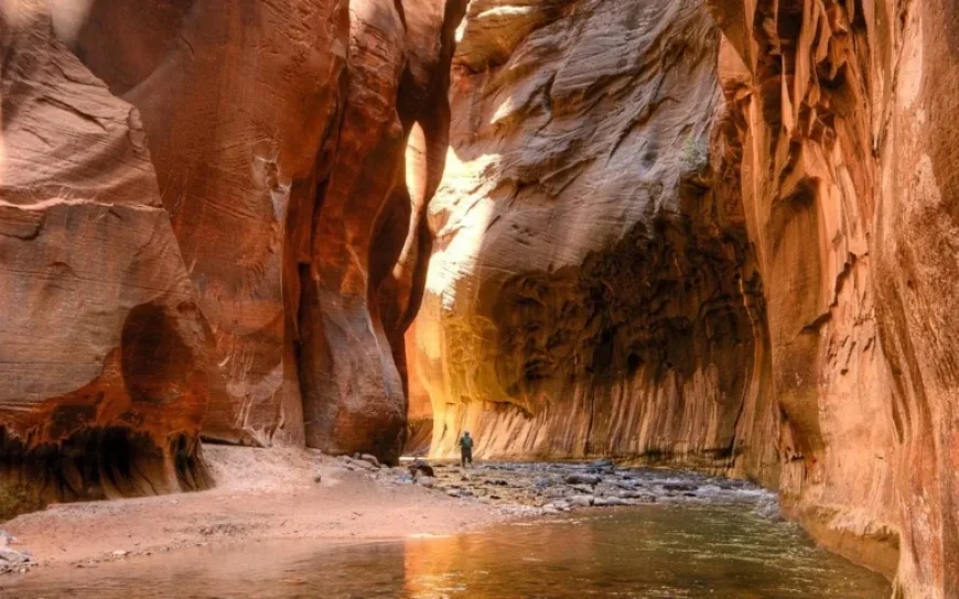 Discover What’s Coming to Zion National Park in 2026