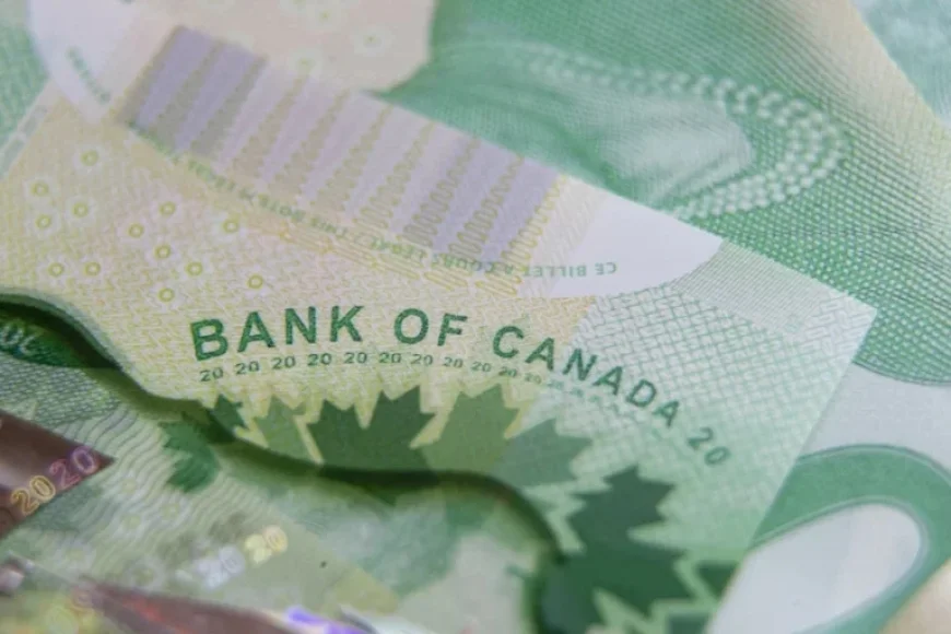 Minimum Wage in Quebec Rises to $16.60 Per Hour Starting May 1