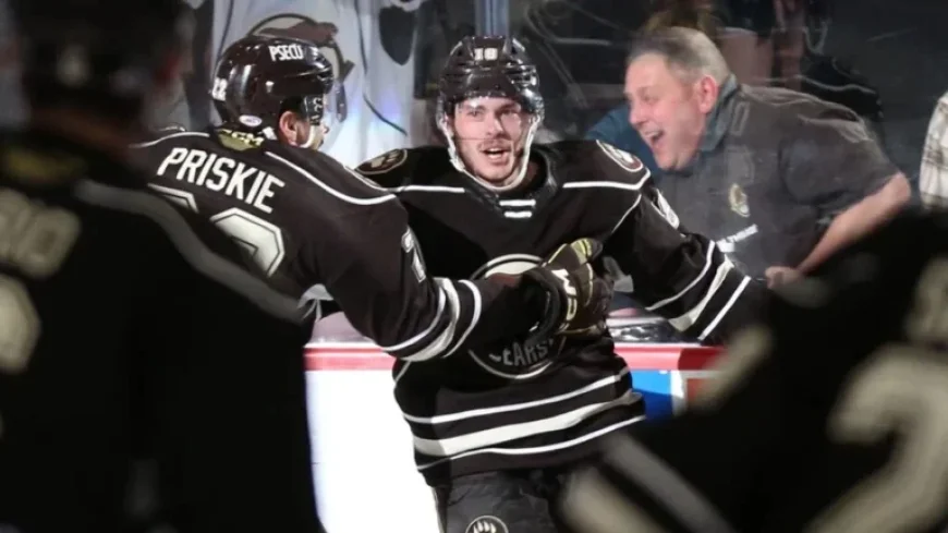 Islanders Sign Former Calder Cup Champion Dubé