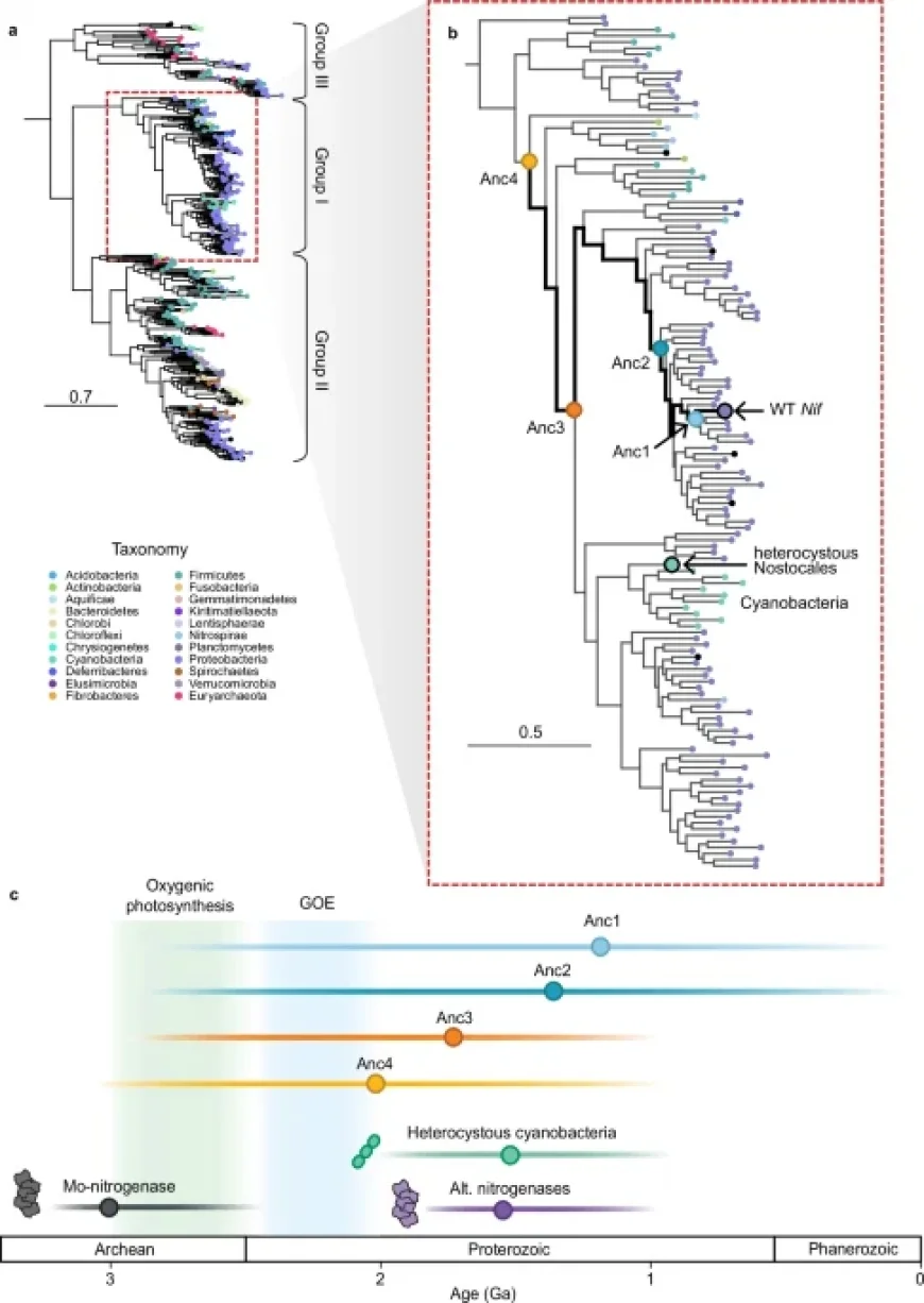 Revived Nitrogenases Mirror N-Isotope Biosignatures Across Two Billion Years