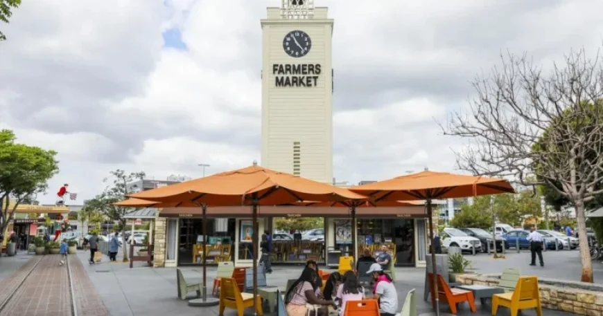 English Defies Rules: Navigating the Language’s Complexities