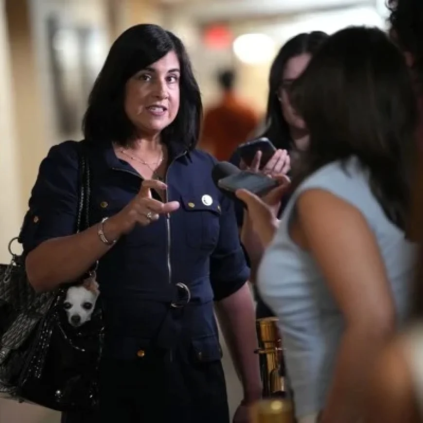 Redistricting Threatens NYC’s Sole Republican Congressman