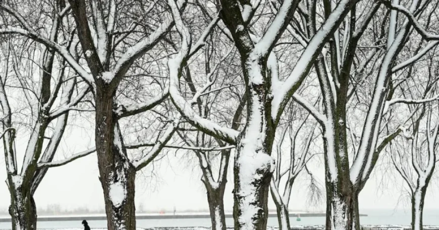 Toronto Faces -24°C Wind Chill Friday Amid Ongoing Bitter Cold