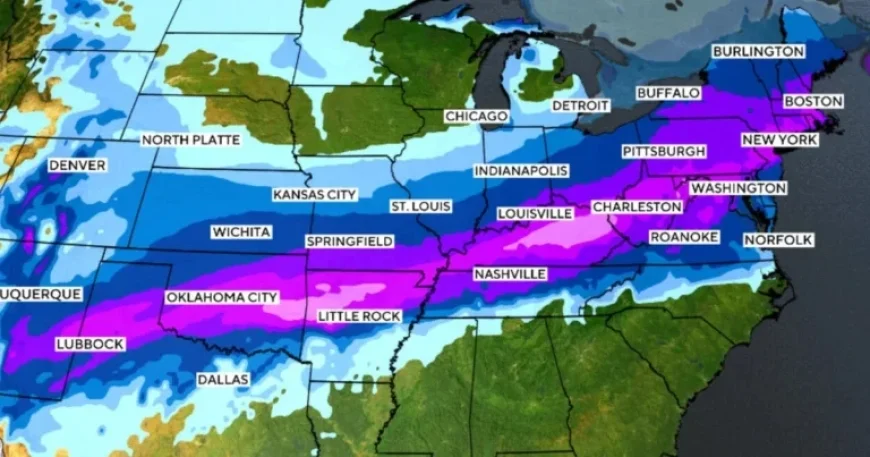 Weekend Snow Forecast: Check Expected Inches in Upcoming Winter Storm