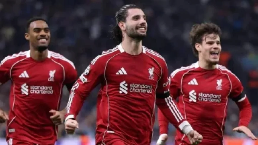 Bills Set to Interview Mike McDaniel for Head Coach Role