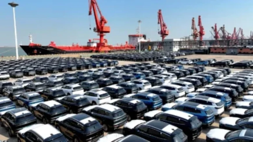 Marineland Seeks Federal Approval to Export 30 Belugas to U.S. Aquariums