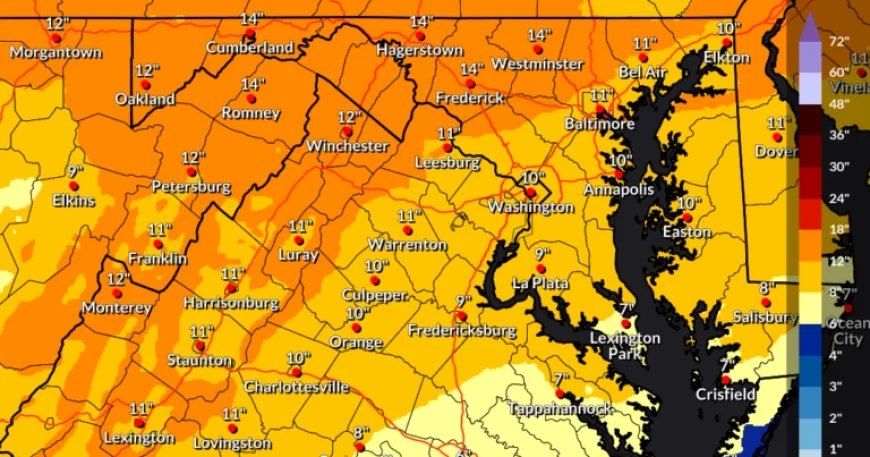 Northern Virginia Braces for Winter Storm: Up to 14 Inches Expected