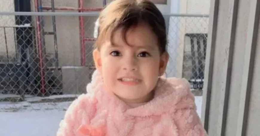 ICE Detains 2-Year-Old Girl and Father in Minneapolis, Lawmaker Reports