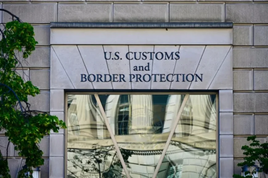 CBP Intercepts Dangerous Grain Pest at Detroit Airport; Urges Agriculture Declarations