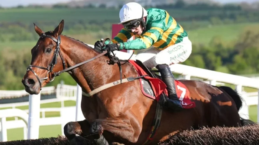 Spillane’s Tower Poised to Defeat Grey Dawning on Cheltenham Trials Day