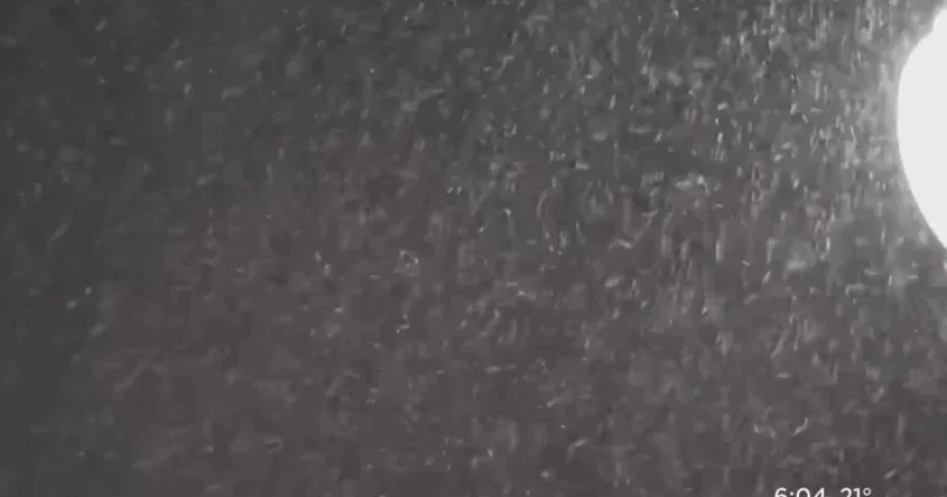 Pittsburgh Snowstorm Forecast: Start and End Times Revealed