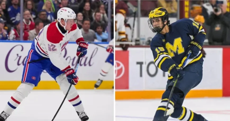 Laine Faces Limited Market; Hage Demand Rises