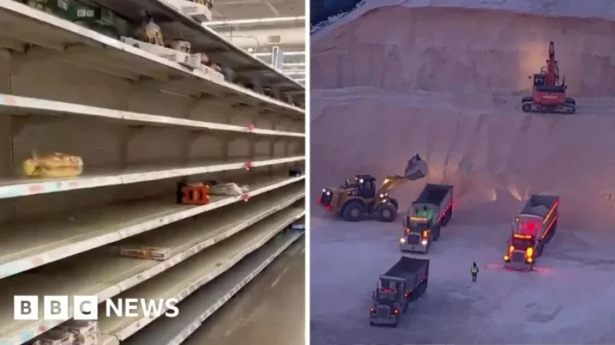 US Prepares for Winter Storm: Empty Shelves and Road Precautions