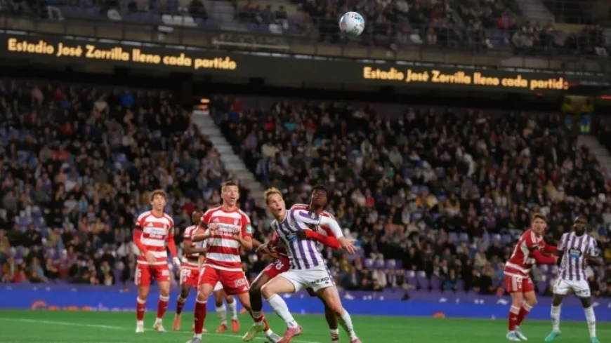 Victory for the Fans