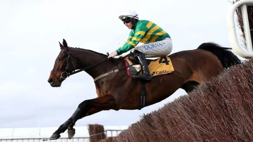 Cheltenham Trials Day: Live Trackside Updates and Racing Insights
