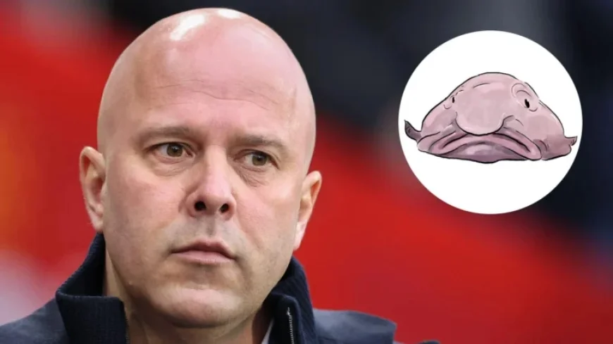 Arne Slot Likened to ‘Human Blobfish’ in Viral Comparison