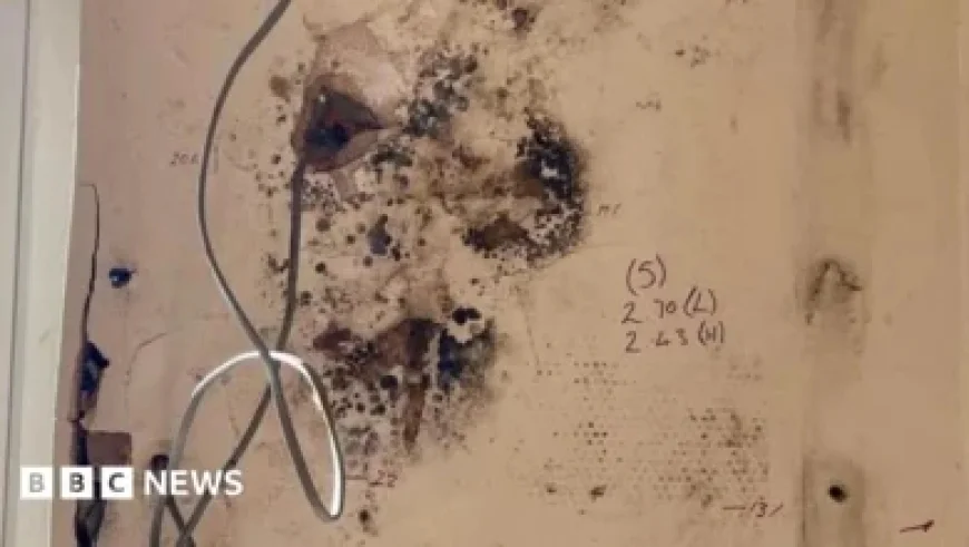 Bovino Defends Trench Coat After Newsom’s ‘SS Garb’ Remark