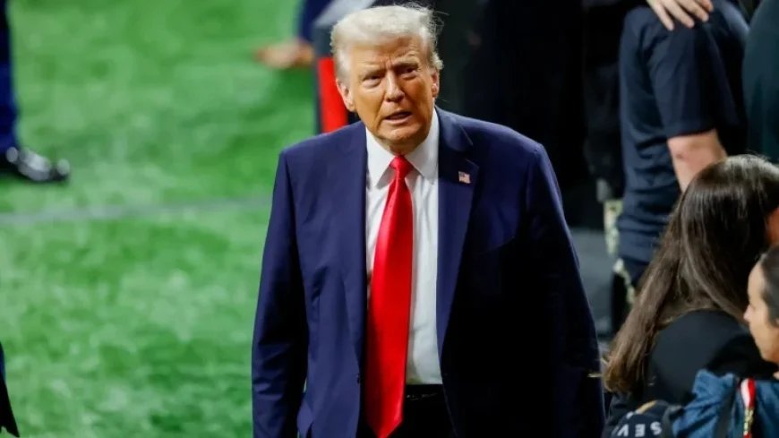 Donald Trump Criticizes Super Bowl Performers Bad Bunny, Green Day