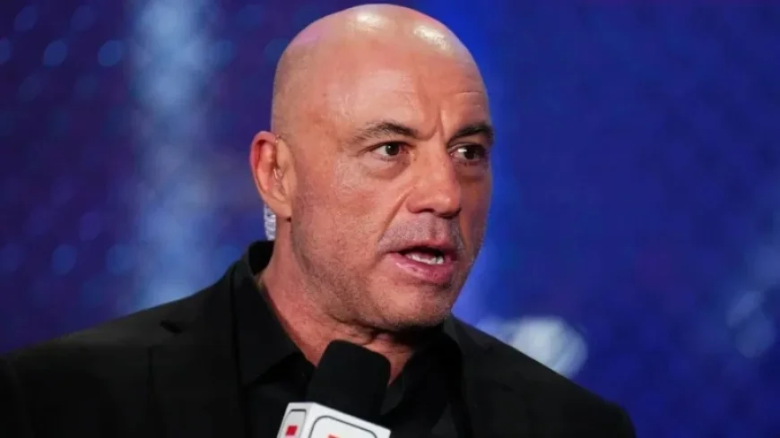Rogan Claims Trump Distracts with Epstein Files Scandal