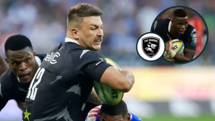Sharks Player Ratings vs Stormers: Springboks ‘Man-Mountain’ Shines