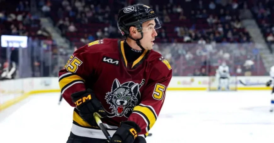 Sabres Trade for Defenseman Bayreuther, Send Neuchev to Hurricanes