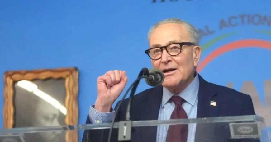 Schumer: Democrats Withhold Votes on DHS Funding After Minneapolis Shooting