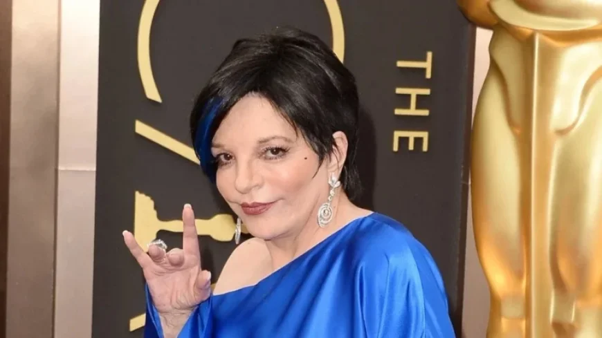 Liza Minelli Addresses AI Song Criticism: Trolls Ignored the Truth