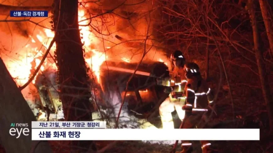 Dry Weather Spurs Wildfires and Influenza Outbreaks