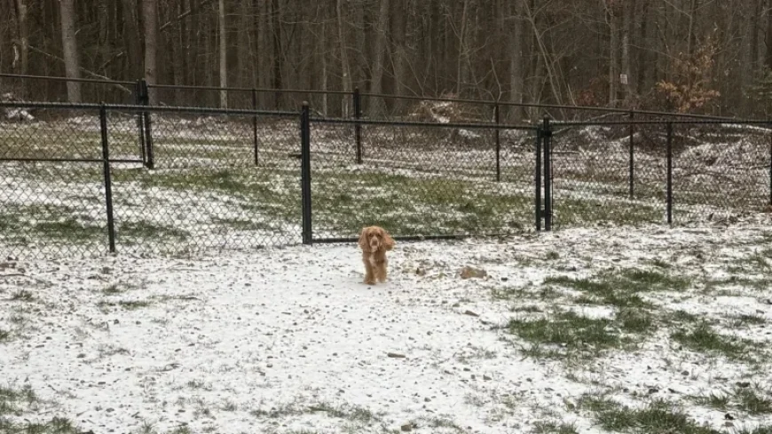 Winter Storm to Hit Chattanooga Area with Snowfall on Saturday