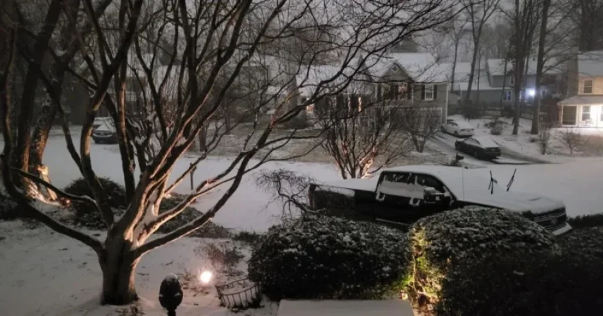 Northern Virginia’s Preliminary Snow Totals Released