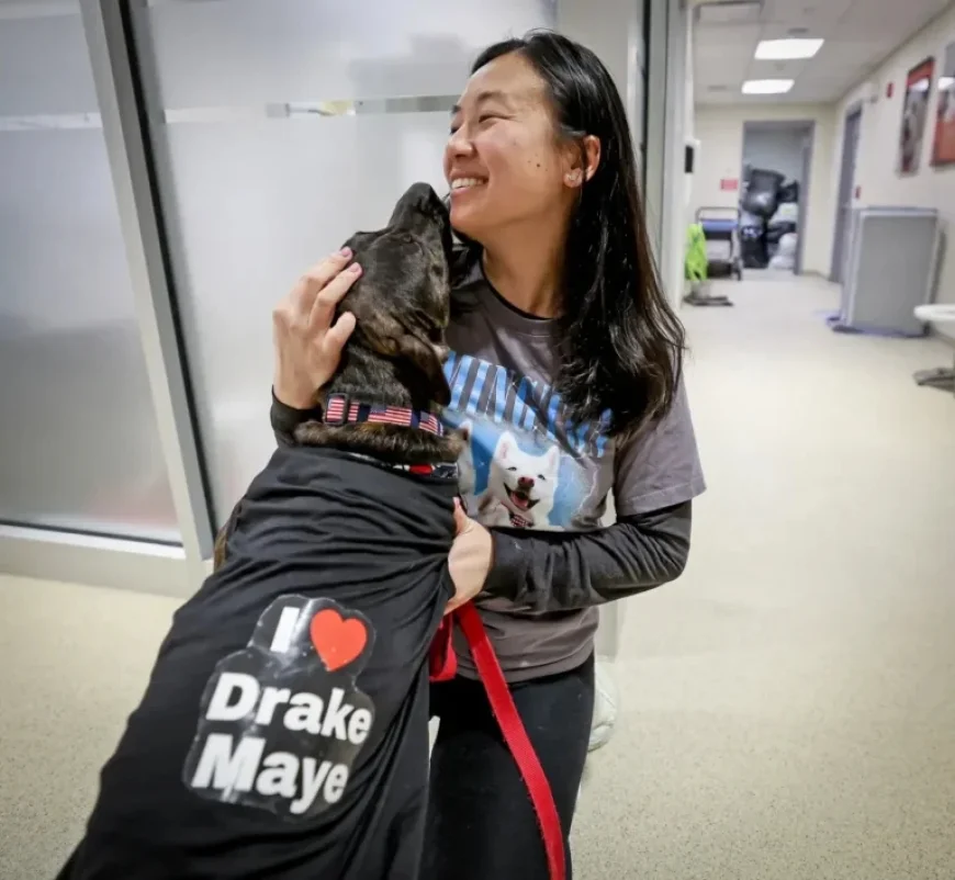 Patriots’ Mike Vrabel Transforms Shelter Dog Culture, Says Robert Kraft’s Wife