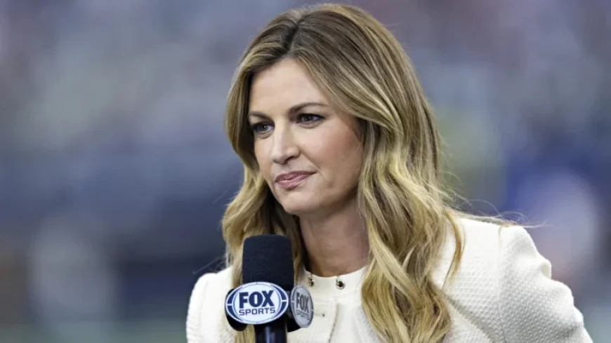 Erin Andrews Criticized for Controversial Outfit Choice