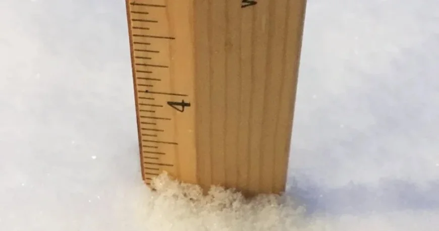 Pittsburgh Snowfall Totals Revealed: Discover How Much Snow Has Fallen