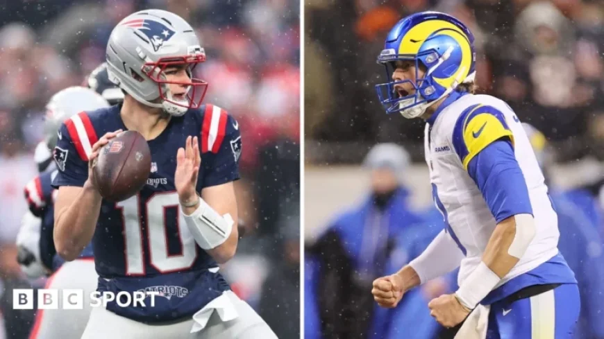 NFL Playoffs: Rams and Patriots Advance to Conference Championships