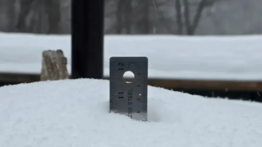 Bucks County Snowfall Totals: How Much Has Accumulated?