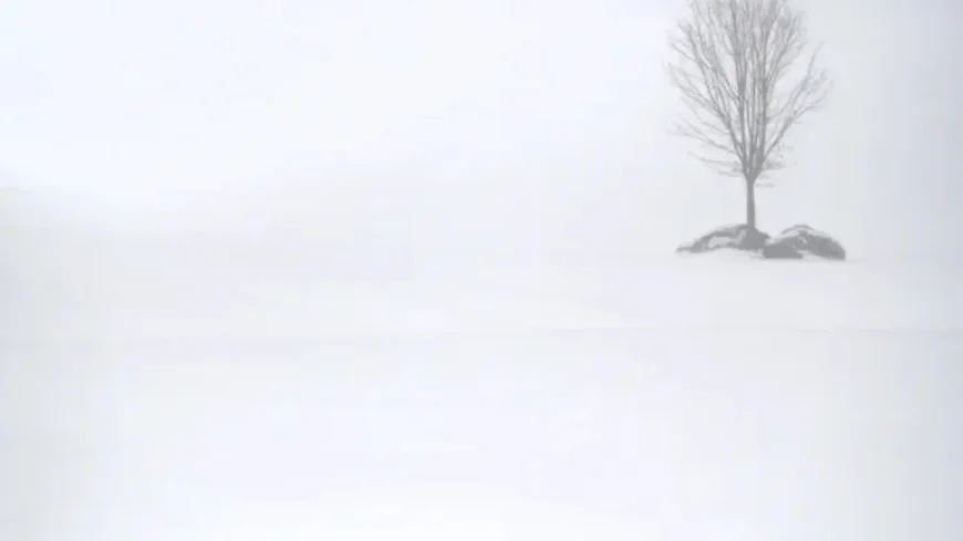 Sub-Zero Temperatures Expected: Plan Ahead to Prevent Health Risks