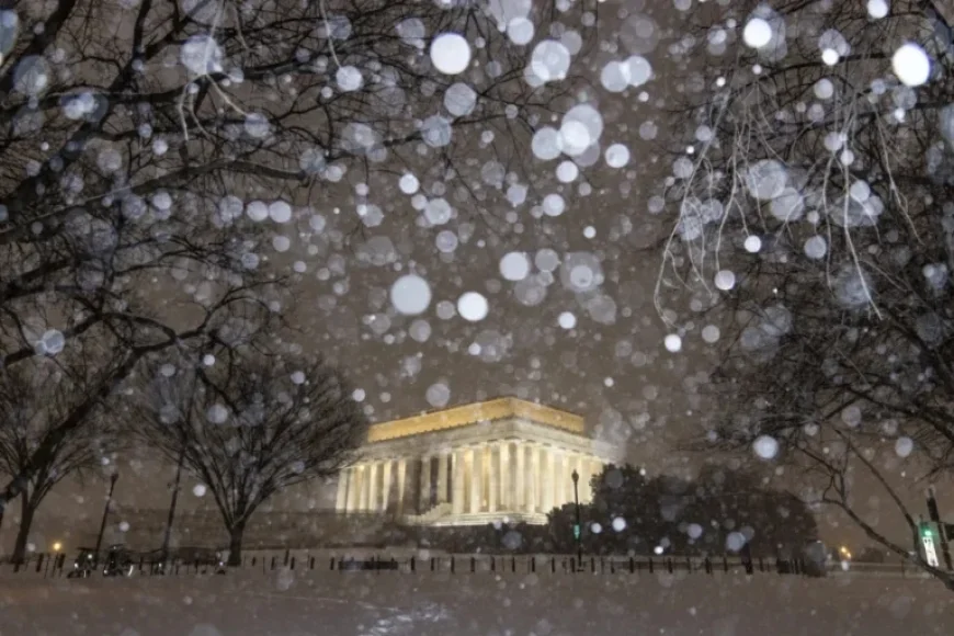 Winter Storm Strikes D.C. Region: Essential Updates