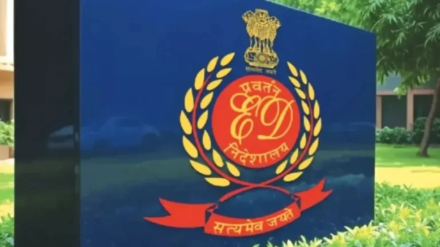 ED Conducts Raids in Goa, Delhi, Haryana for Nightclub Fire Fraud