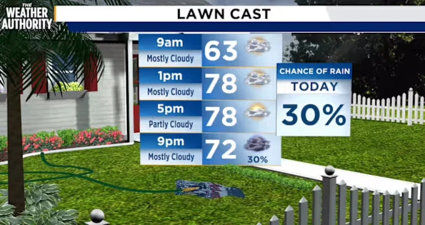 Winter Storm to Hit Northeast Florida and Southeast Georgia Monday After Highs