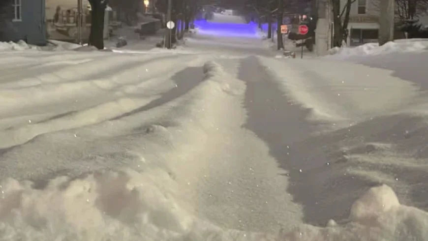 Major Snowstorm Triggers Cancellations and Closures Across Nova Scotia