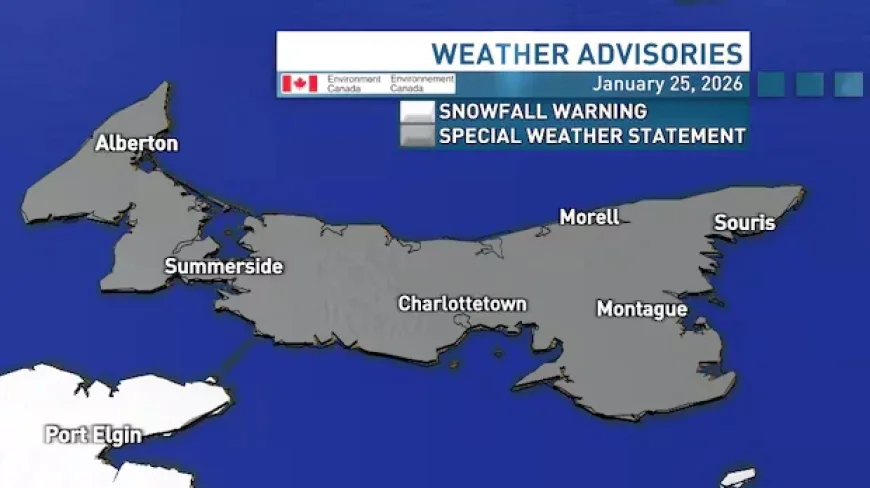 Snowstorm Approaches P.E.I., Triggers Special Weather Alert